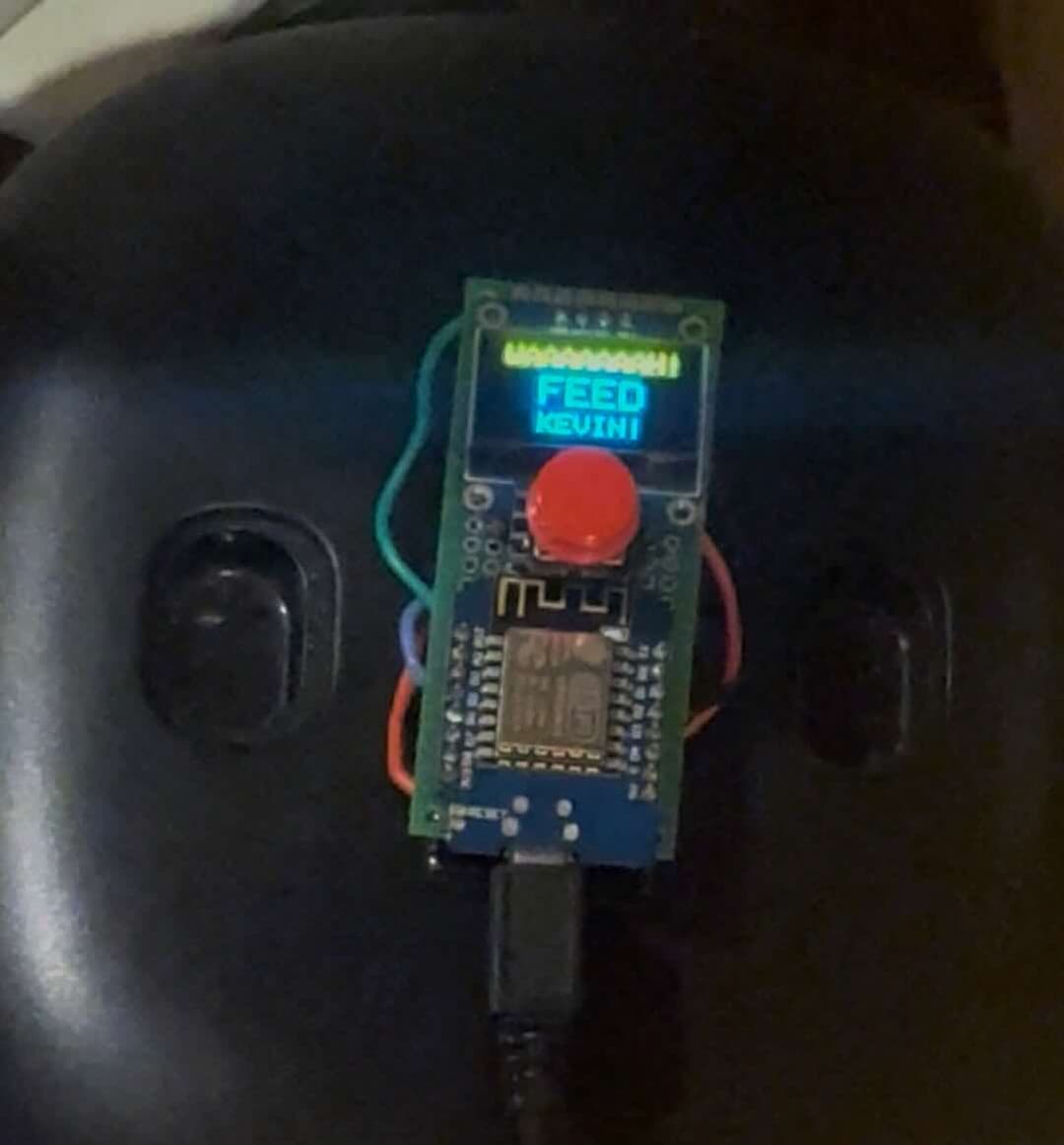 After someone's fed kevin his wet food, they can press the button to log the feeding time, so that he can't fool us into thinking he hasn't been fed.